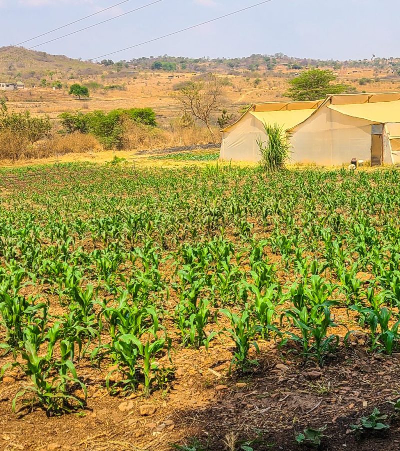 20241014_133557-scaled