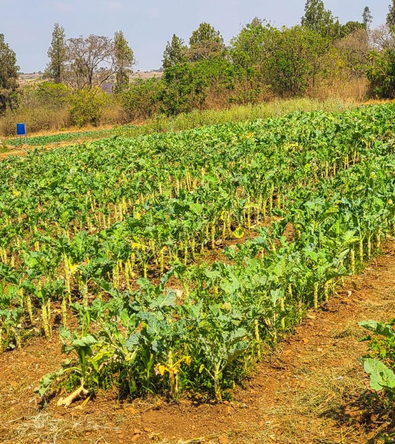 20241014_133639-scaled