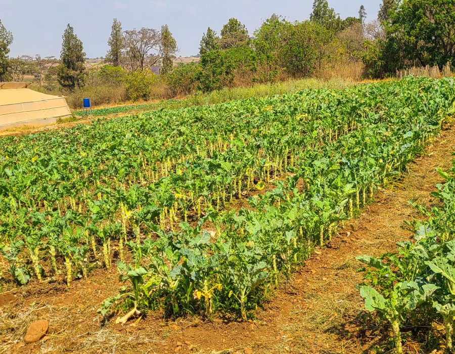 20241014_133639-scaled